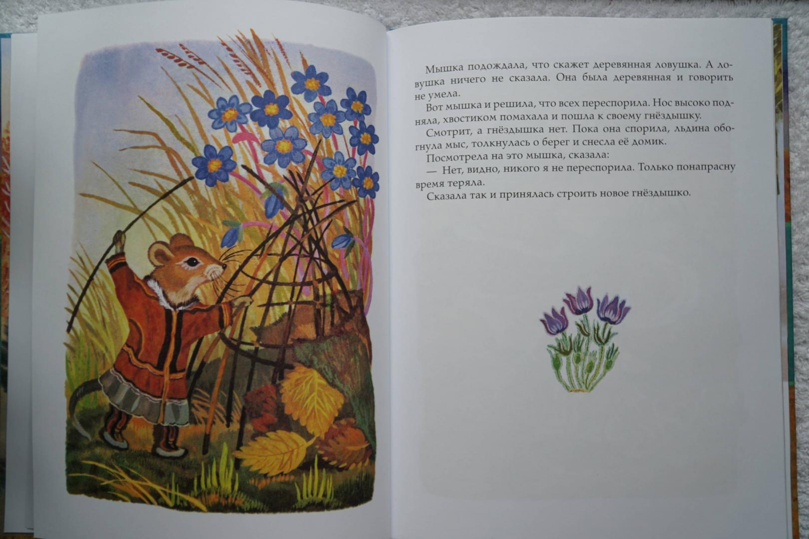 Иллюстрация 44 из 50 для Девочка-лебедь и другие северные сказки | Лабиринт - книги. Источник: Андреева Гульнара