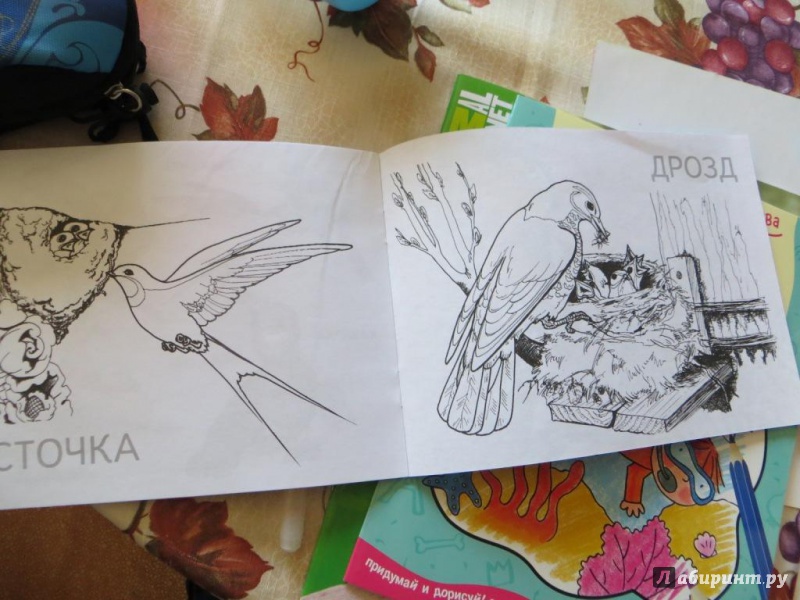 Иллюстрация 1 из 23 для Перелетные птицы | Лабиринт - книги. Источник: Ko-ren