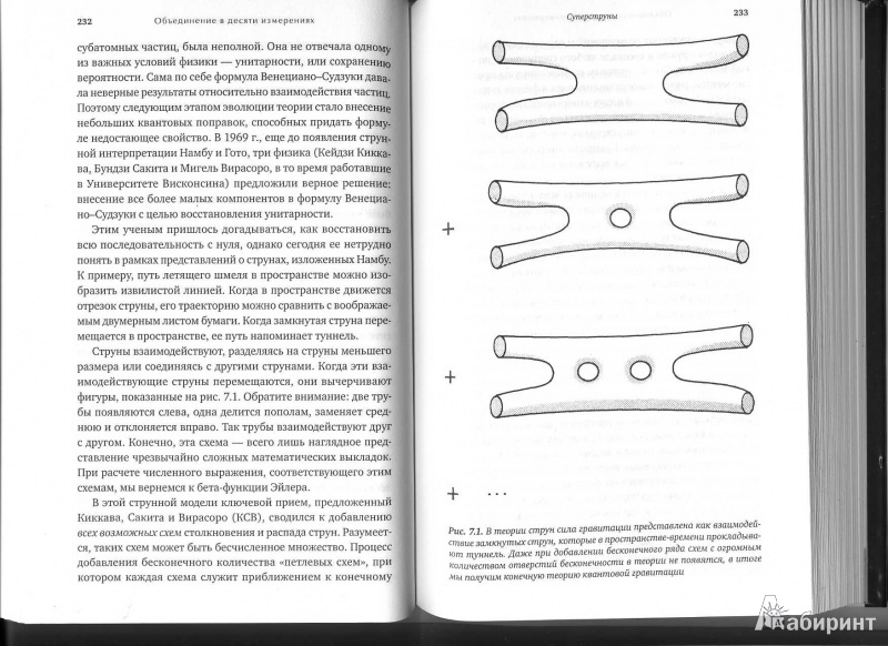 Иллюстрация 17 из 38 для Гиперпространство. Научная одиссея через параллельные миры, дыры во времени и десятое измерение - Митио Каку | Лабиринт - книги. Источник: Jane Alt