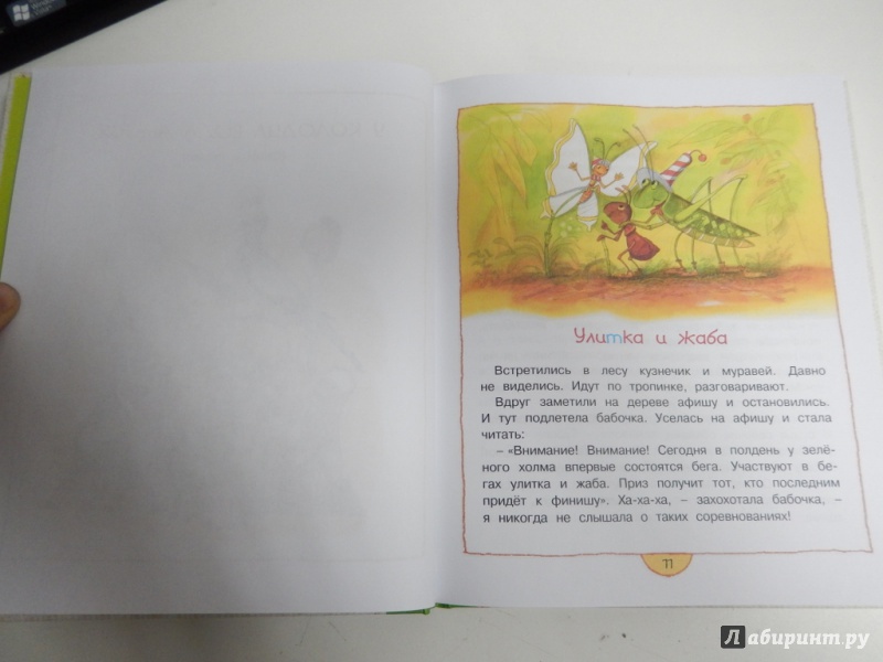 Иллюстрация 4 из 33 для Как сорока-белобока кашу варила - Надежда Притулина | Лабиринт - книги. Источник: dbyyb