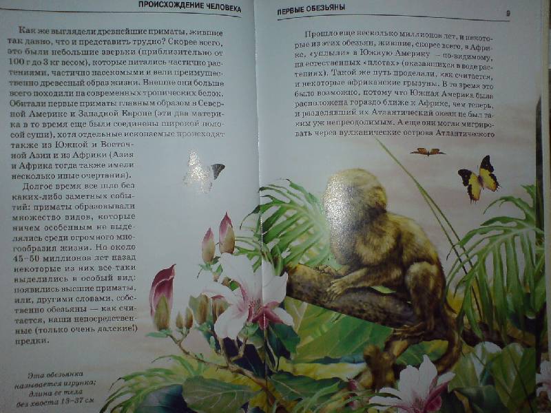 Иллюстрация 8 из 50 для Происхождение человека - Ирина Рябинина | Лабиринт - книги. Источник: Настёна