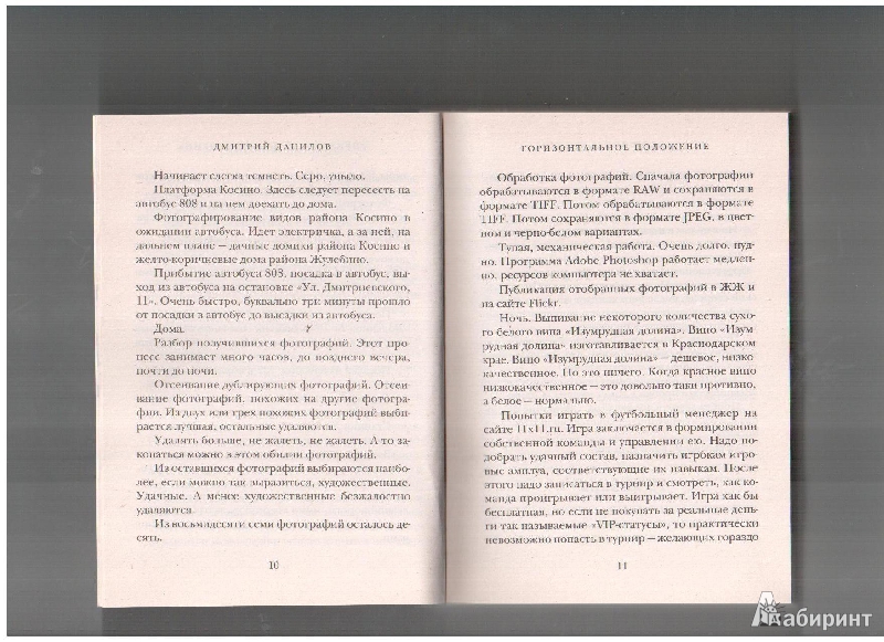 Иллюстрация 4 из 6 для Горизонатльное положение - Дмитрий Данилов | Лабиринт - книги. Источник: gabi