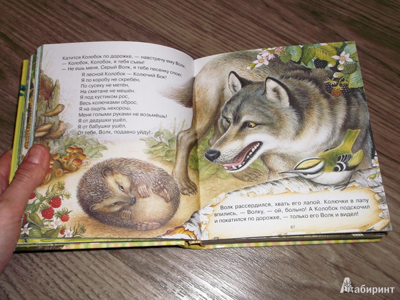 Иллюстрация 9 из 43 для Сказки лесной опушки - Бианки, Сладков, Пришвин, Шим | Лабиринт - книги. Источник: Козловская  Наталья