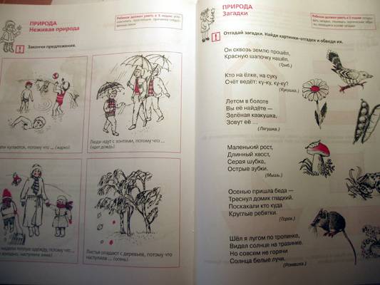 Иллюстрация 20 из 33 для Тесты для детей 5 лет. ФГОС ДО - Елена Колесникова | Лабиринт - книги. Источник: Galia
