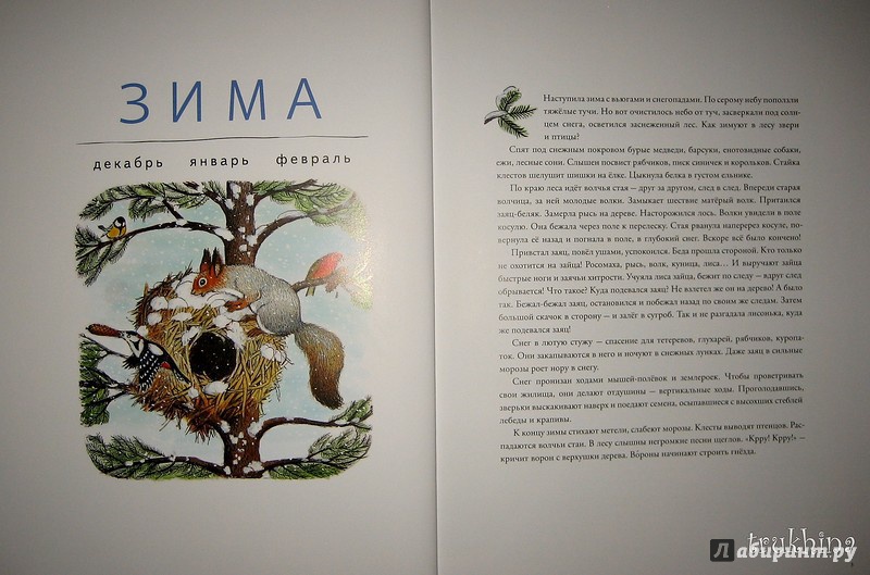Иллюстрация 13 из 109 для В лесу - Петр Багин | Лабиринт - книги. Источник: Трухина Ирина