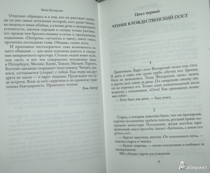 Иллюстрация 6 из 17 для Приходские истории: вместо проповеди - Майя Кучерская | Лабиринт - книги. Источник: Леонид Сергеев