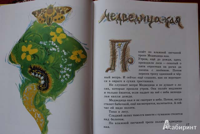 Иллюстрация 25 из 73 для Бабочки - Юрий Коваль | Лабиринт - книги. Источник: сима