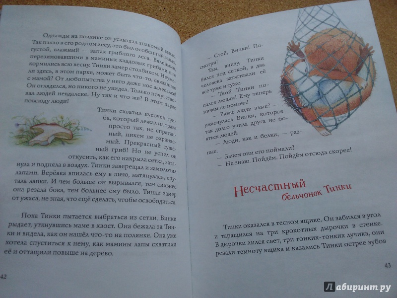 Иллюстрация 49 из 85 для Бельчонок Тинки - Тамара Михеева | Лабиринт - книги. Источник: Ольга