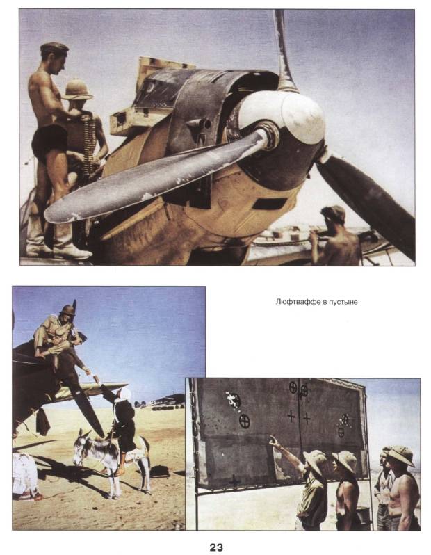 Иллюстрация 13 из 19 для Африканский корпус: Ливийско-Египетская кампания (1941-1943) - Франсуа Ланнуа | Лабиринт - книги. Источник: Joker