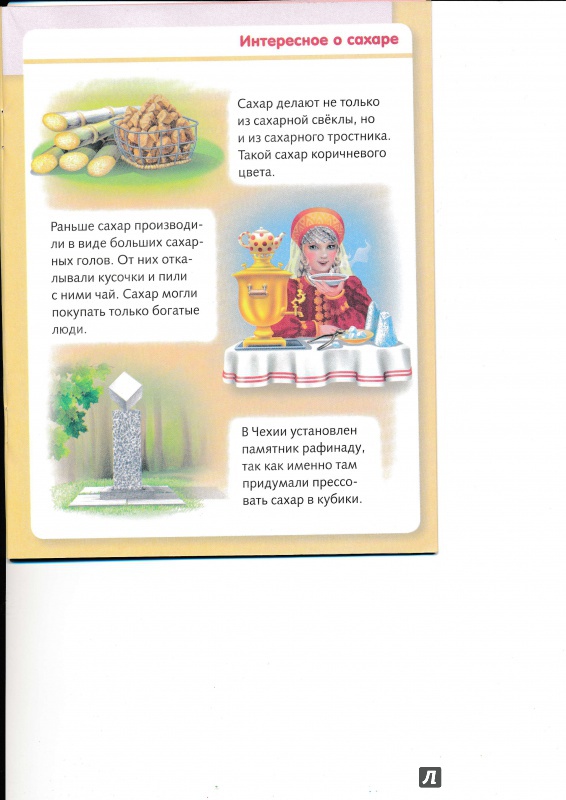 Иллюстрация 10 из 37 для Удивительные превращения. Как производят продукты питания - Марина Султанова | Лабиринт - книги. Источник: Террил