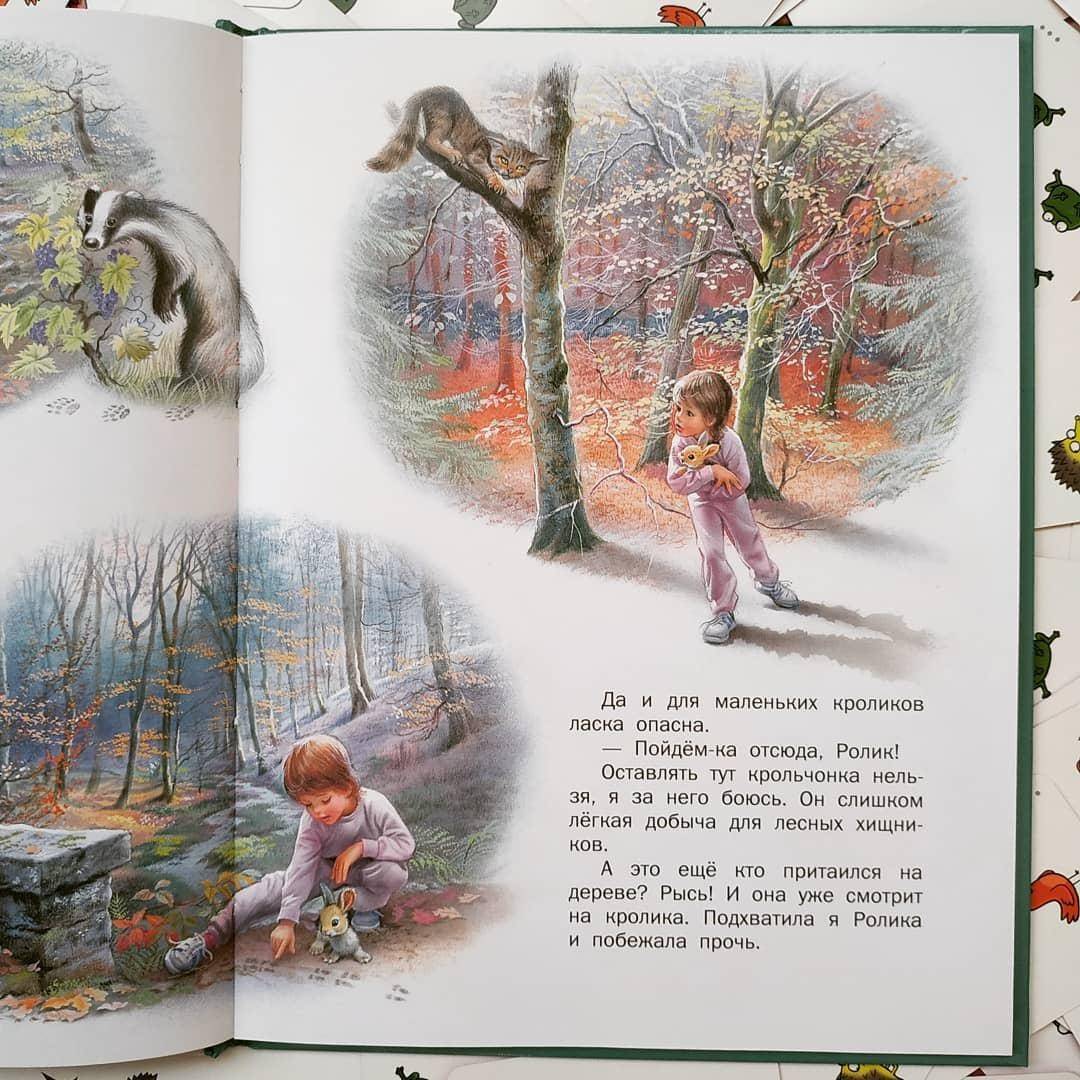 Иллюстрация 39 из 45 для Маруся - подружка всех зверят. В лесу. В деревне - Делаэ, Марлье | Лабиринт - книги. Источник: Отзывы читателей