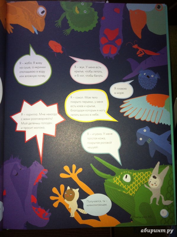 Иллюстрация 9 из 23 для Моя книга о животных - Софи Дову | Лабиринт - книги. Источник: Абра-кадабра