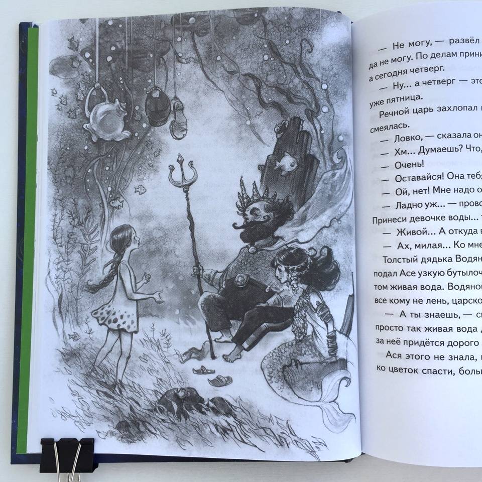 Иллюстрация 27 из 59 для Асино лето - Тамара Михеева | Лабиринт - книги. Источник: Лабиринт