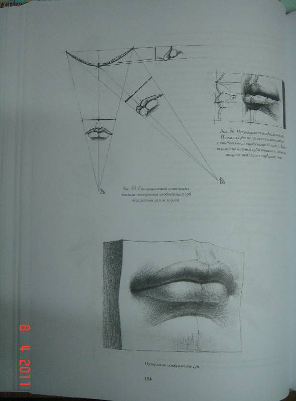 Иллюстрация 51 из 52 для Голова человека. Основы учебного академического рисунка - Николай Ли | Лабиринт - книги. Источник: Lisafox