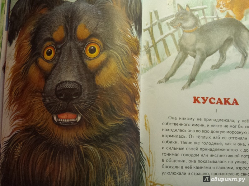 Иллюстрация 4 из 30 для Рассказы русских писателей о животных | Лабиринт - книги. Источник: Faina