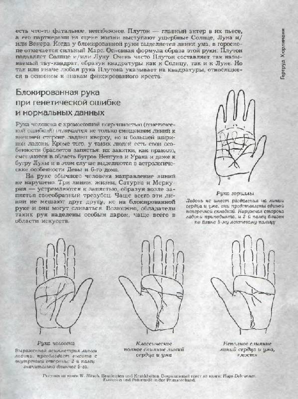 Иллюстрация 7 из 20 для Знаки руки - о характере и типе личности - Гертруд Хюрлиманн | Лабиринт - книги. Источник: Юта