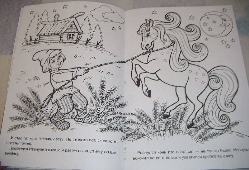 Иллюстрация 5 из 5 для Сивка-бурка | Лабиринт - книги. Источник: Iwolga
