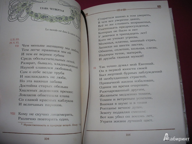 Иллюстрация 22 из 97 для Евгений Онегин - Александр Пушкин | Лабиринт - книги. Источник: Tiger.