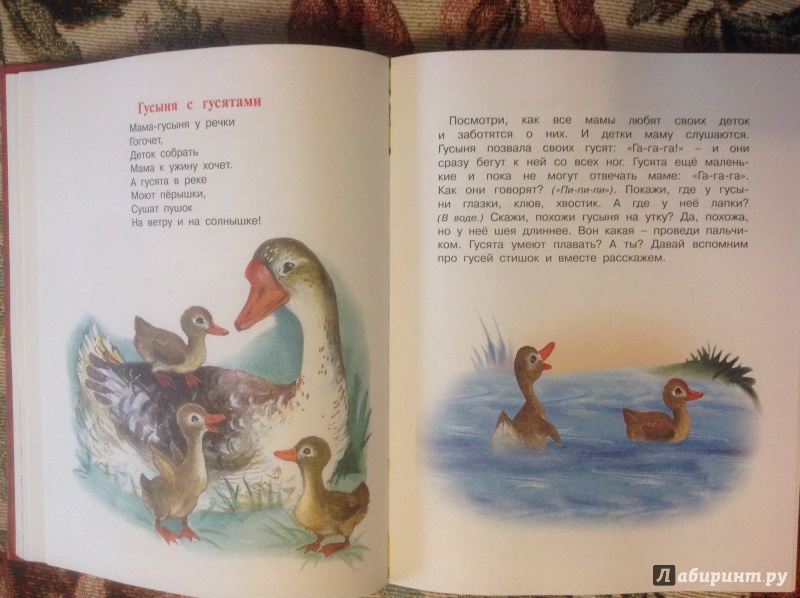 Иллюстрация 32 из 39 для Большая книга для малышей. Любимая книга малыша: для чтения от 6 месяцев: сборник | Лабиринт - книги. Источник: Дарья_S