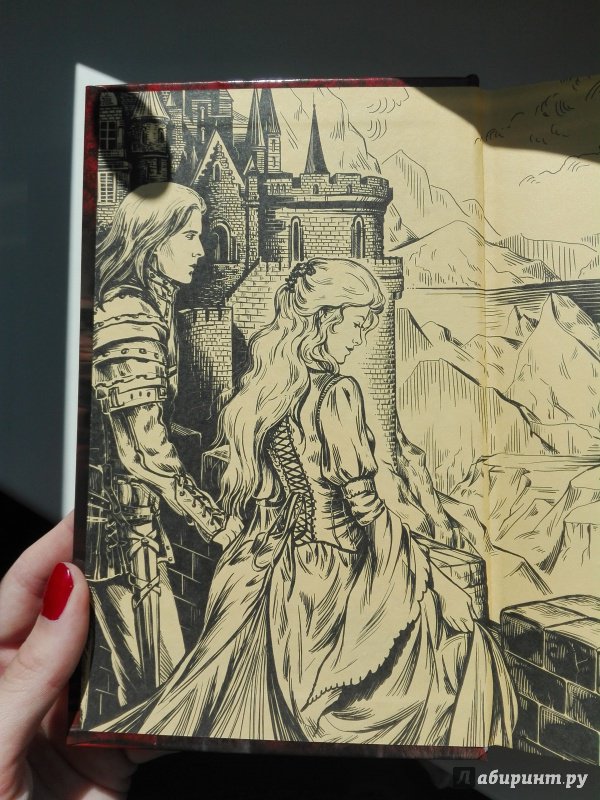 Иллюстрация 19 из 29 для Портрет прекрасной принцессы - Вера Чиркова | Лабиринт - книги. Источник: Сафиулина  Юлия