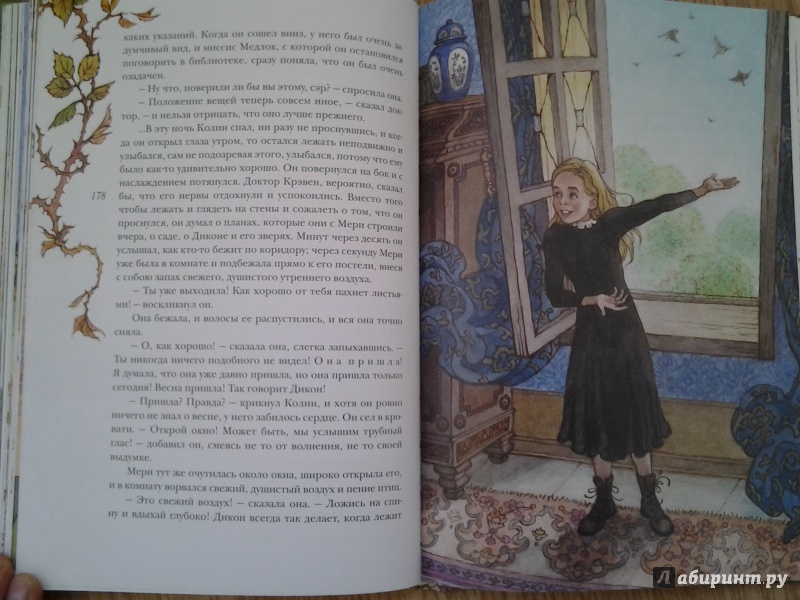Иллюстрация 31 из 64 для Таинственный сад - Фрэнсис Бёрнетт | Лабиринт - книги. Источник: Olga