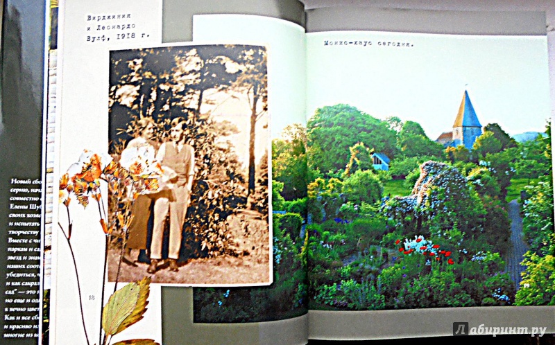 Иллюстрация 23 из 39 для Все в саду | Лабиринт - книги. Источник: Александр Н.