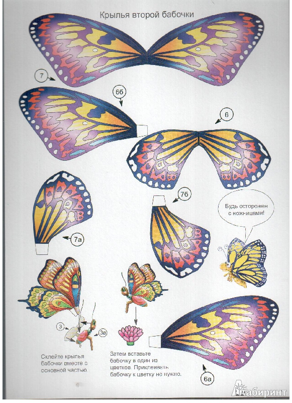 Иллюстрация 7 из 9 для Объемная модель "Бабочки-красавицы" | Лабиринт - игрушки. Источник: gabi
