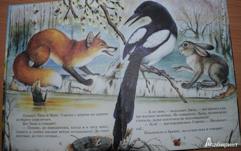 Иллюстрация 5 из 9 для Лесные сказки - Николай Сладков | Лабиринт - книги. Источник: Ирина Гришаева