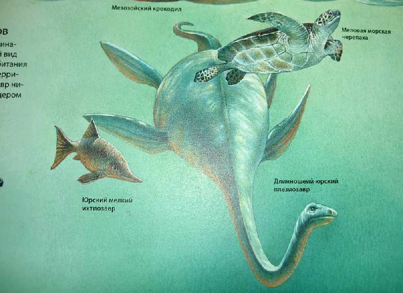 Иллюстрация 87 из 109 для Динозавры. Иллюстрированный атлас - Майкл Бретт-Шуман | Лабиринт - книги. Источник: hellgirl