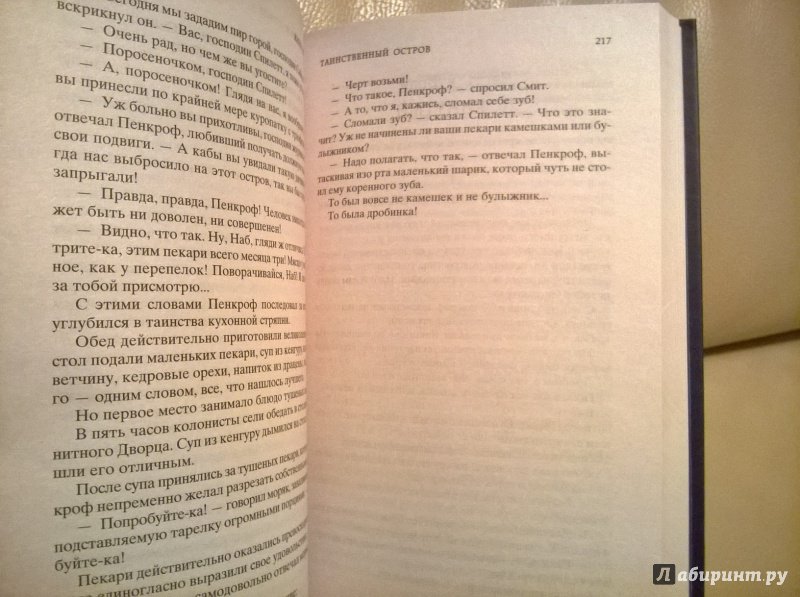 Иллюстрация 42 из 42 для Таинственный остров - Жюль Верн | Лабиринт - книги. Источник: МАрковка