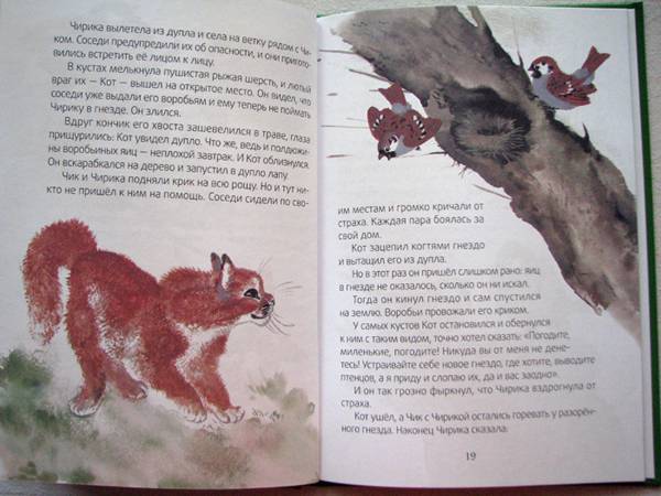 Иллюстрация 10 из 22 для Хвосты - Виталий Бианки | Лабиринт - книги. Источник: jiv