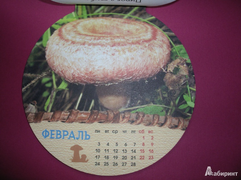 Иллюстрация 3 из 19 для Календарь на магните на 2014 год "Грибное лукошко" | Лабиринт - сувениры. Источник: Tiger.