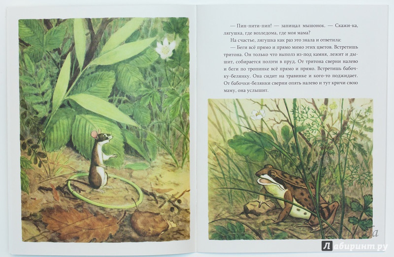 Иллюстрация 32 из 41 для Мышонок заблудился - Нина Павлова | Лабиринт - книги. Источник: Букландия