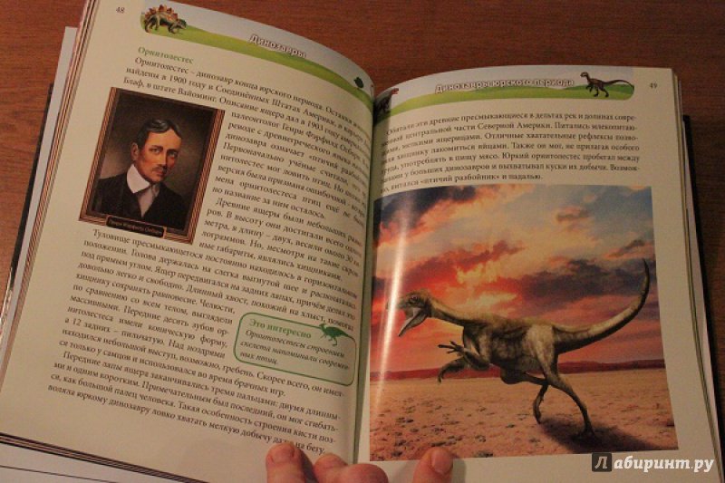 Иллюстрация 15 из 36 для Динозавры - Ирина Астапенко | Лабиринт - книги. Источник: ilinkova