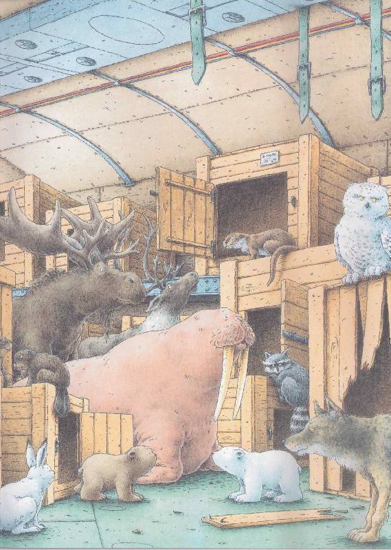 Иллюстрация 5 из 40 для Белый медвежонок Барни и олененок-потеряшка - Беер Де | Лабиринт - книги. Источник: Verba888