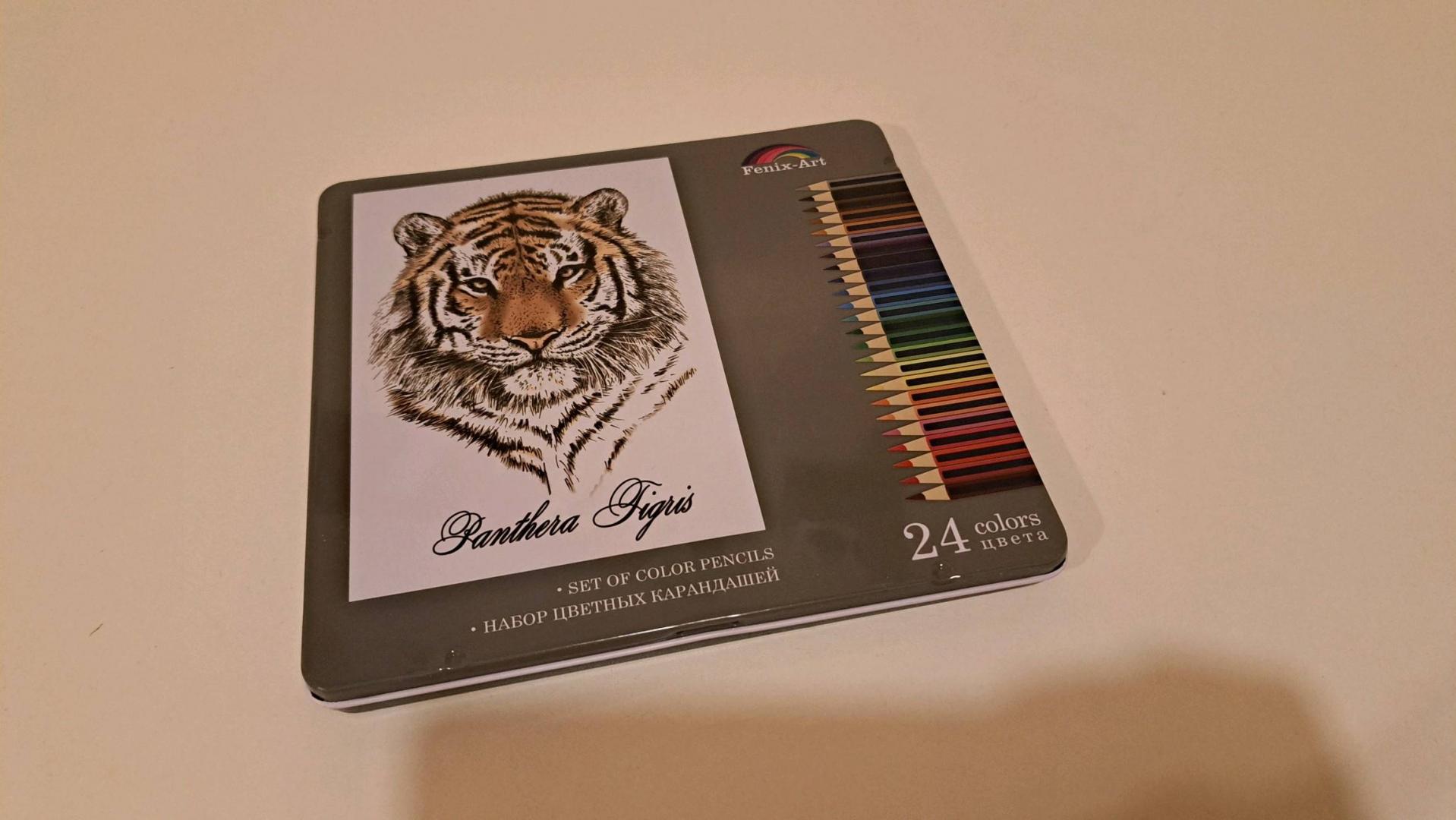 Иллюстрация 61 из 63 для Карандаши цветные "Тигр" (24 цвета, металлическая коробка) (32871) | Лабиринт - канцтовы. Источник: Гринкевич  Василиса Сергеевна
