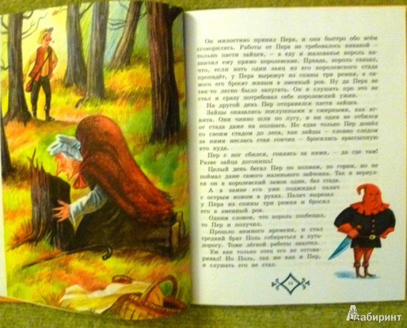 Иллюстрация 37 из 39 для Королевские зайцы и другие сказки - Александра Любарская | Лабиринт - книги. Источник: alex-sandr