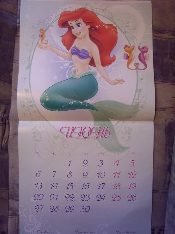 Иллюстрация 8 из 16 для Календарь 2011 "Принцессы" | Лабиринт - сувениры. Источник: Золотая рыбка