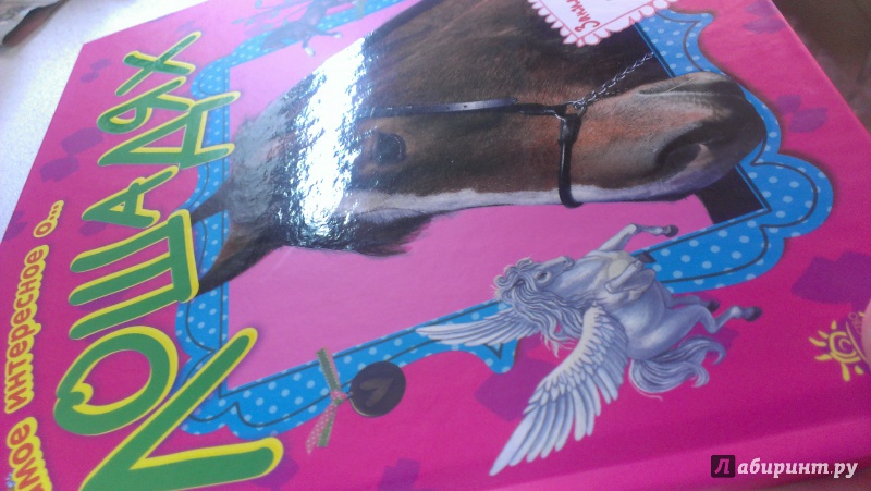 Иллюстрация 12 из 18 для Самое интересное о... лошадях | Лабиринт - книги. Источник: Арта  Елена