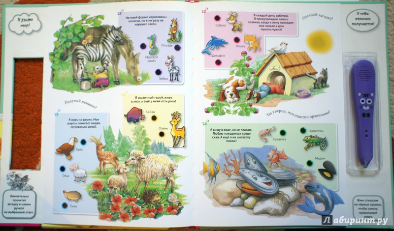 Иллюстрация 32 из 42 для Для малышей загадки о животных | Лабиринт - книги. Источник: Швыркова  Ольга