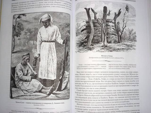 Иллюстрация 5 из 40 для Дневники исследователя Африки - Давид Ливингстон | Лабиринт - книги. Источник: qwips