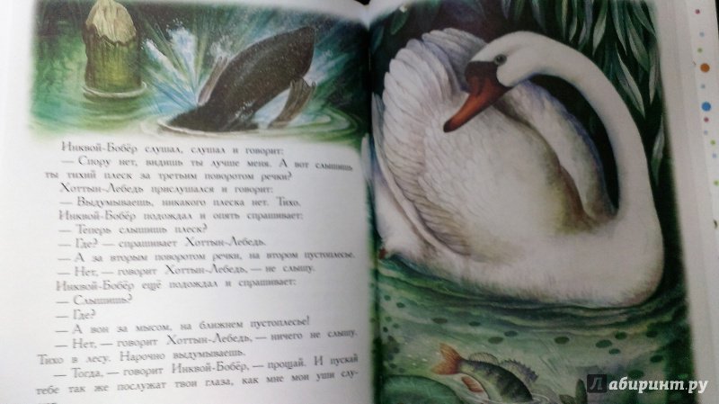 Иллюстрация 17 из 36 для Сказки для детей - Виталий Бианки | Лабиринт - книги. Источник: Савчук Ирина