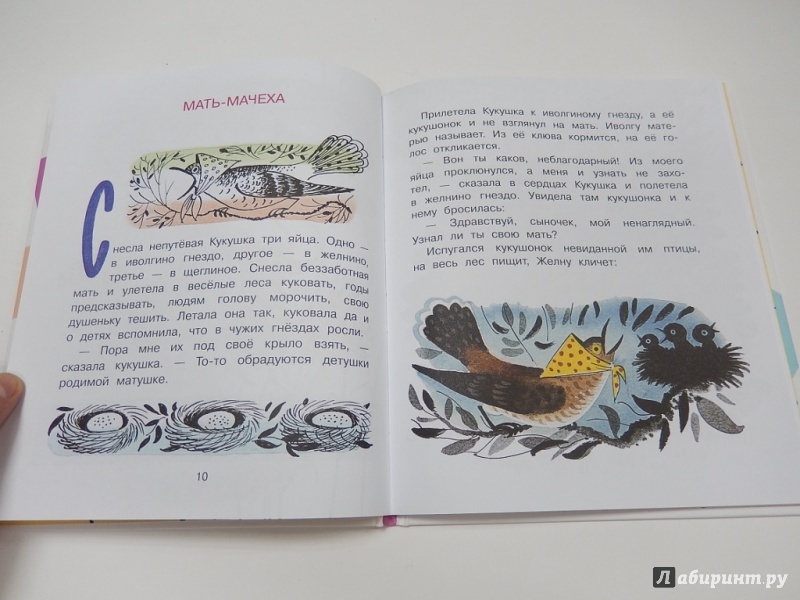 Иллюстрация 8 из 31 для Сказки - Евгений Пермяк | Лабиринт - книги. Источник: dbyyb