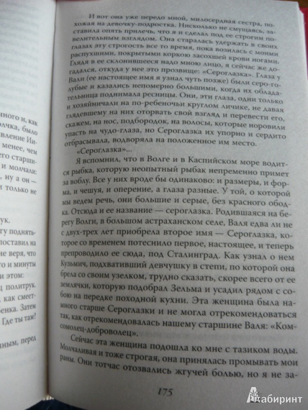 Иллюстрация 9 из 12 для Мой Сталинград - Михаил Алексеев | Лабиринт - книги. Источник: Шевцов  Илья