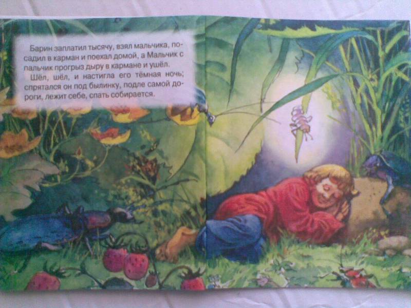 Иллюстрация 7 из 15 для Мальчик с пальчик | Лабиринт - книги. Источник: Мельникова  Светлана Сергеевна