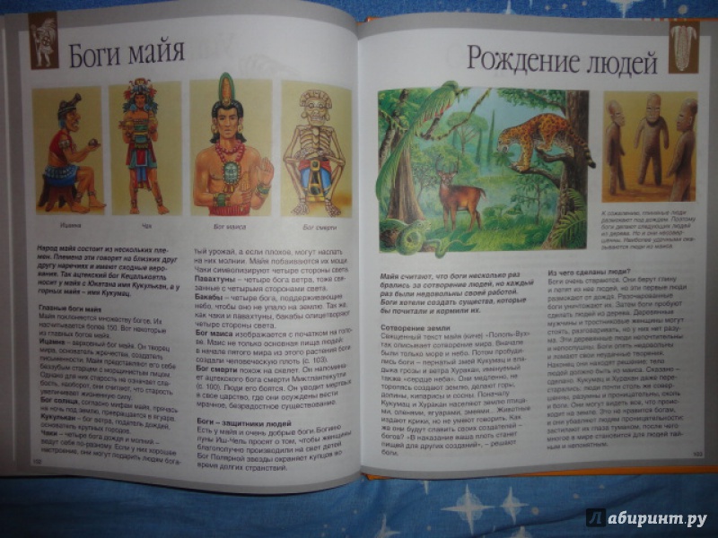 Иллюстрация 23 из 53 для Мифы и легенды народов мира - Сильви Босье | Лабиринт - книги. Источник: Kristin