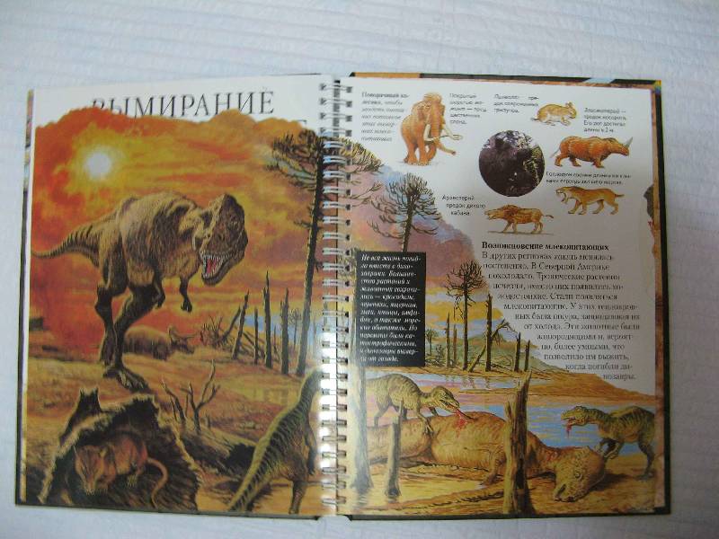 Иллюстрация 12 из 14 для Времена динозавров - Эндрю Чарман | Лабиринт - книги. Источник: Каприза