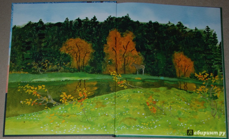 Иллюстрация 16 из 49 для Русский лес - Иван Соколов-Микитов | Лабиринт - книги. Источник: Книжный кот