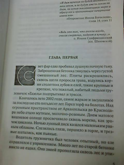 Иллюстрация 7 из 12 для Приз - Полина Дашкова | Лабиринт - книги. Источник: lettrice