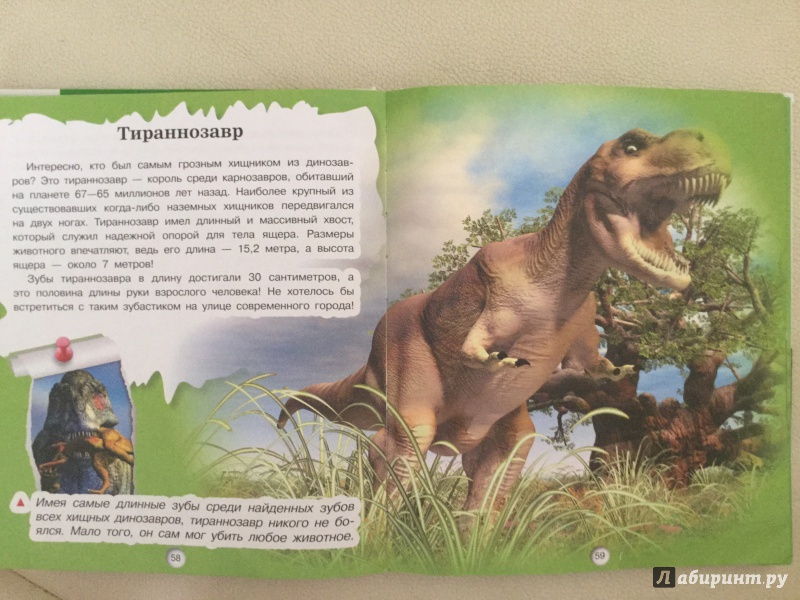 Иллюстрация 2 из 24 для Динозавры - Елена Хомич | Лабиринт - книги. Источник: Кузина  Светлана